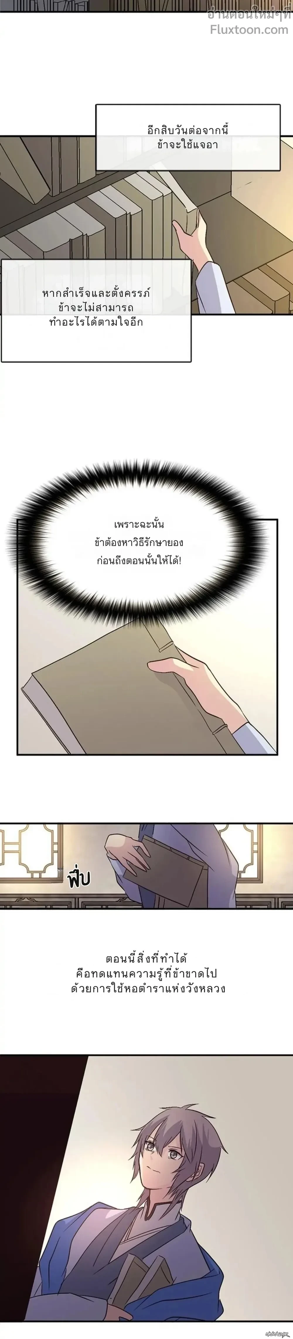 หน้าที่ 13