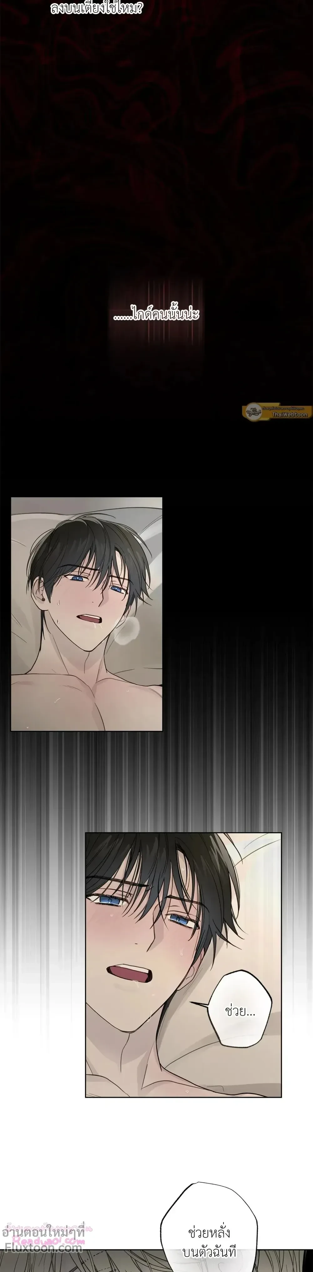 หน้าที่ 13