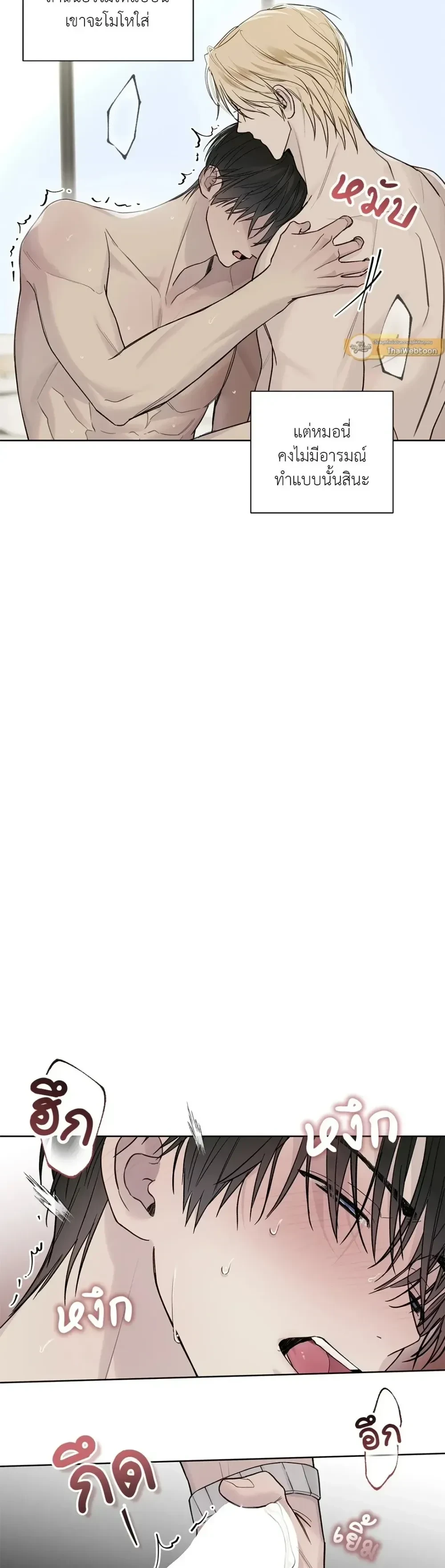 หน้าที่ 11