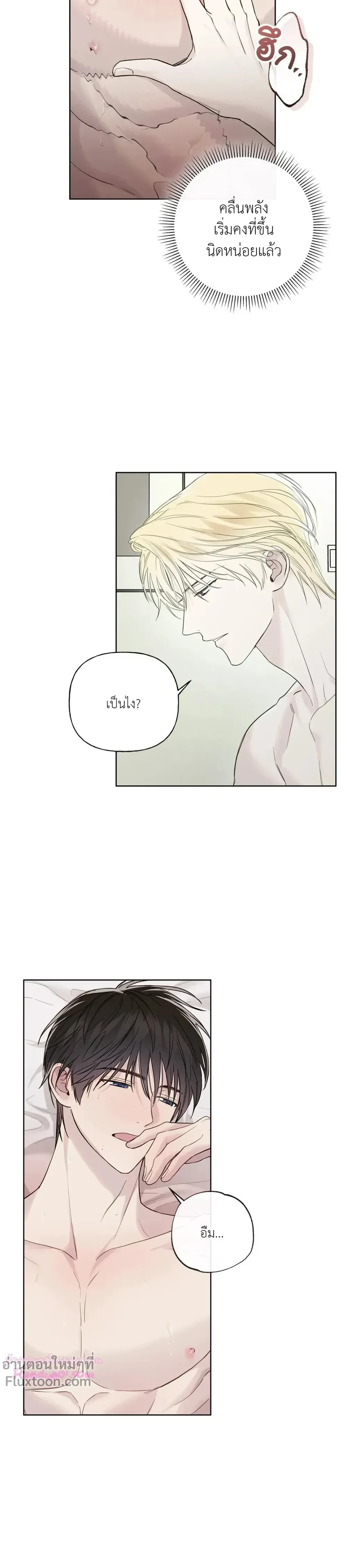 หน้าที่ 3