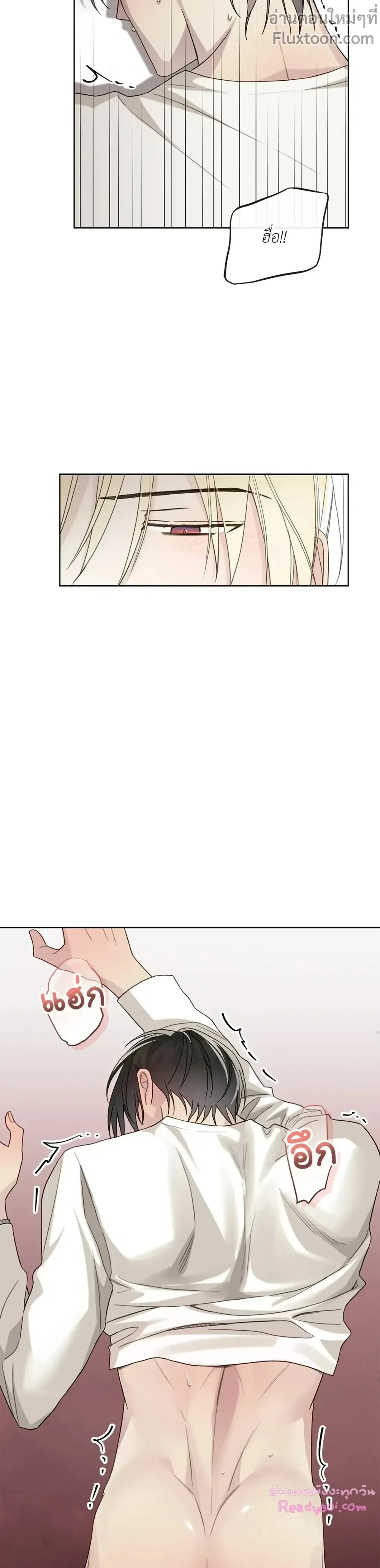 หน้าที่ 11