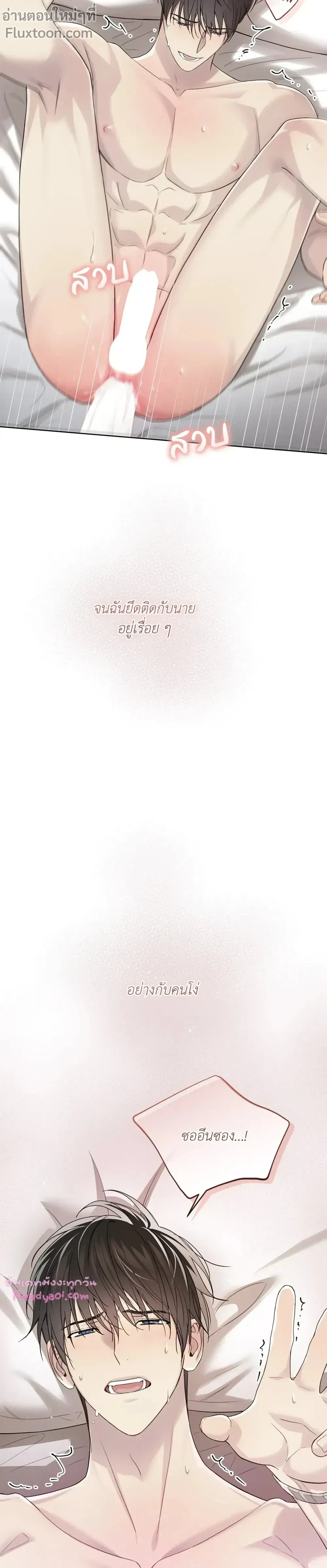 หน้าที่ 13