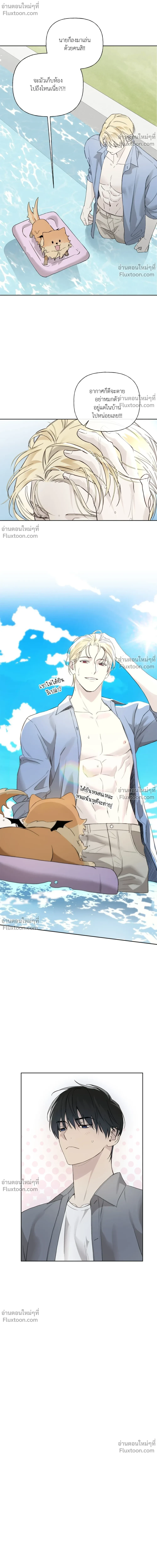 หน้าที่ 8