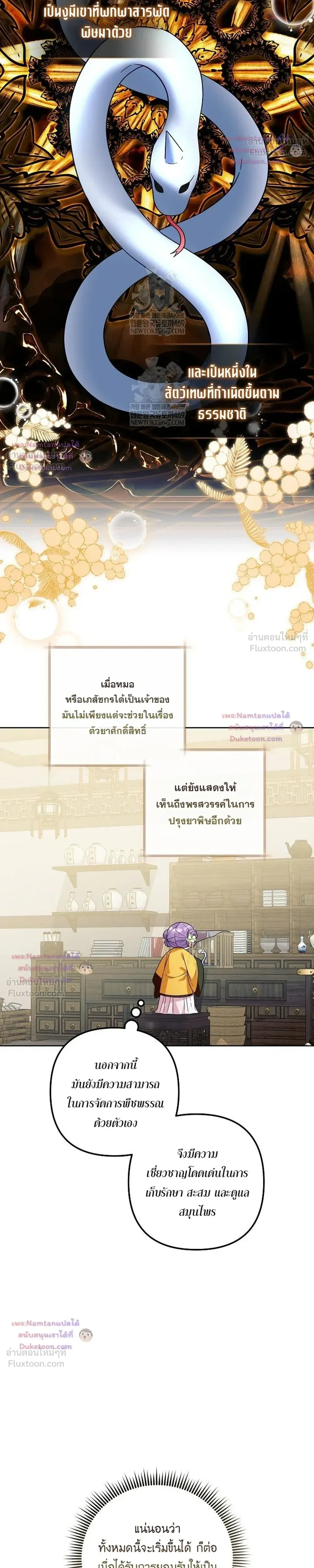 หน้าที่ 23