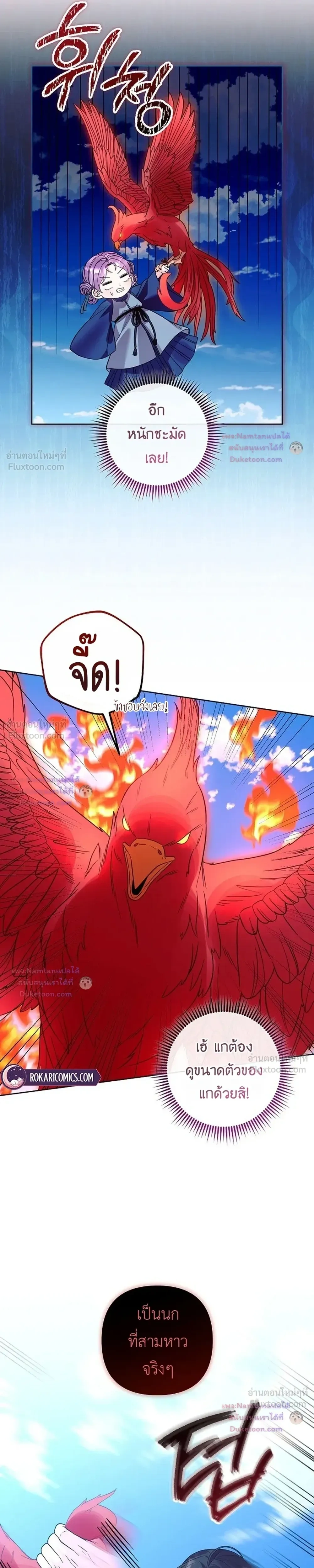 หน้าที่ 17