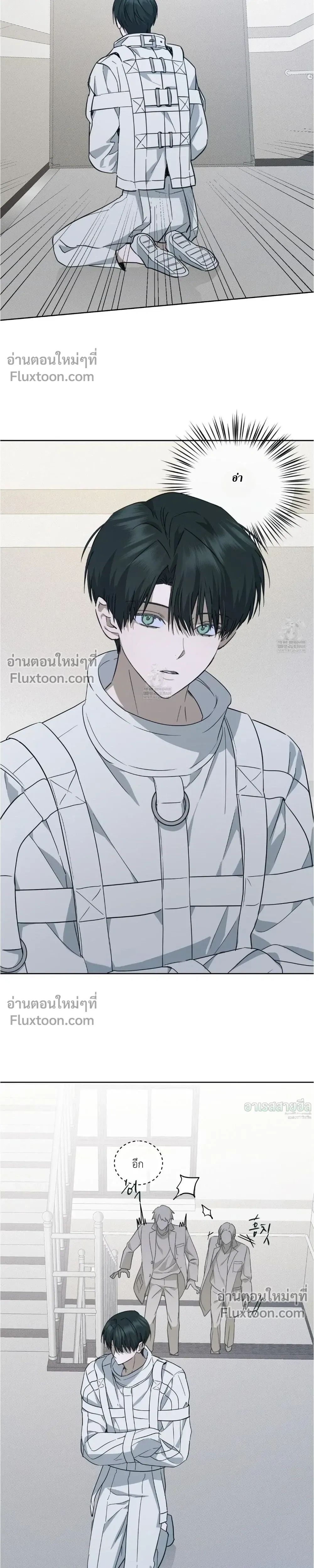 หน้าที่ 13
