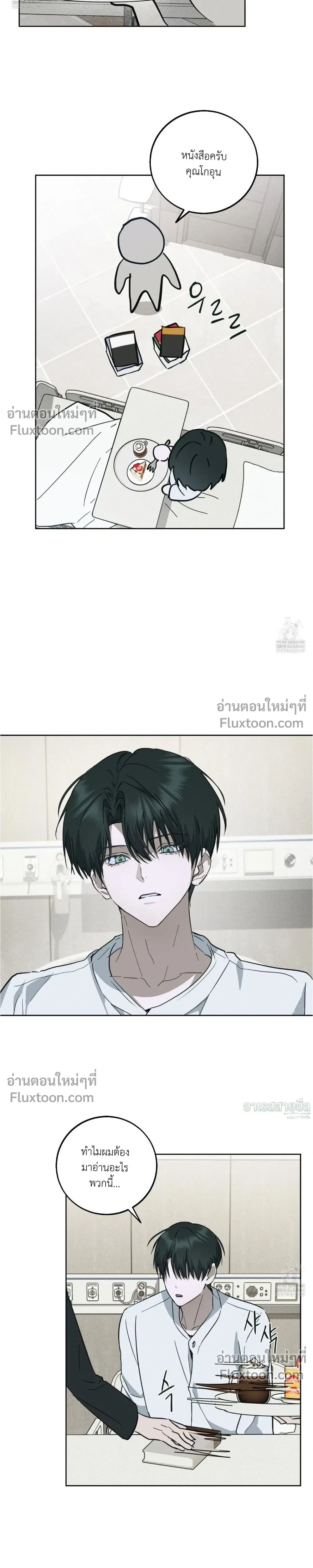 หน้าที่ 13