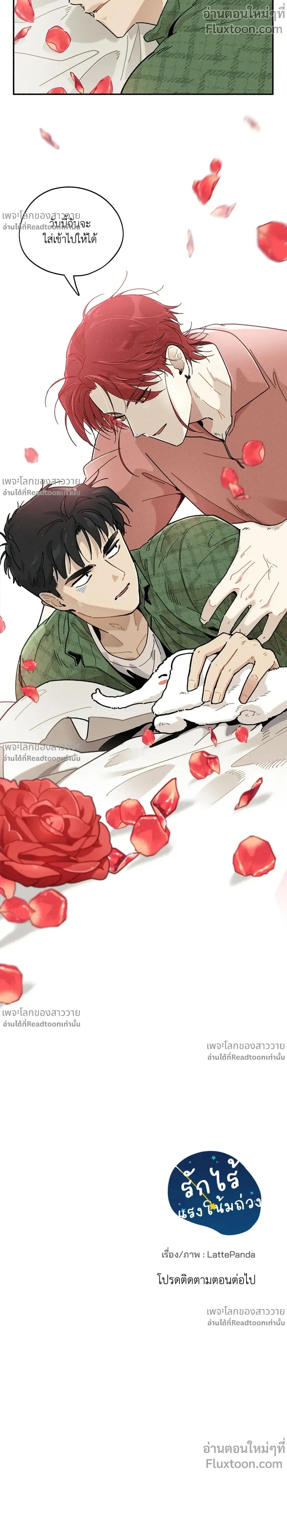 หน้าที่ 17