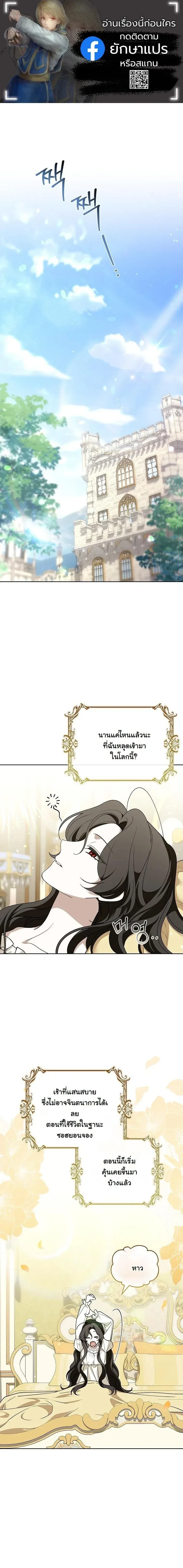 หน้าที่ 1