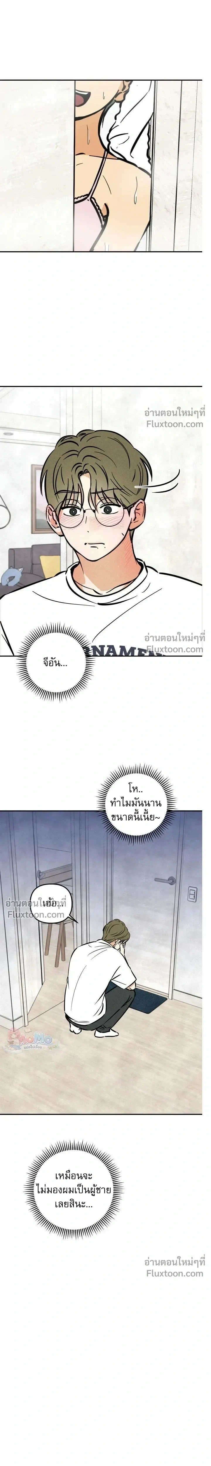 หน้าที่ 13