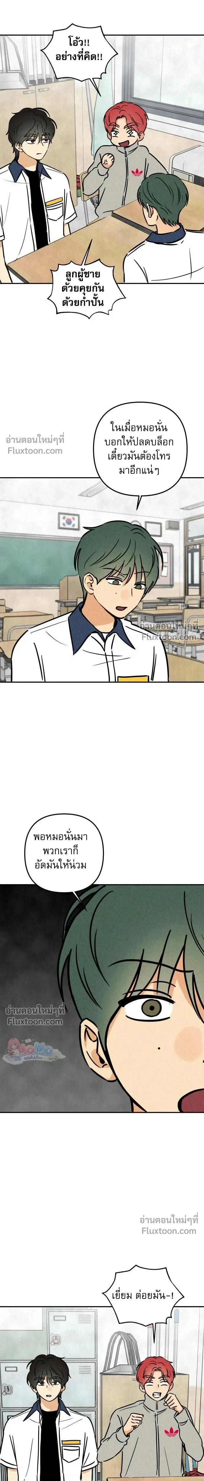 หน้าที่ 13