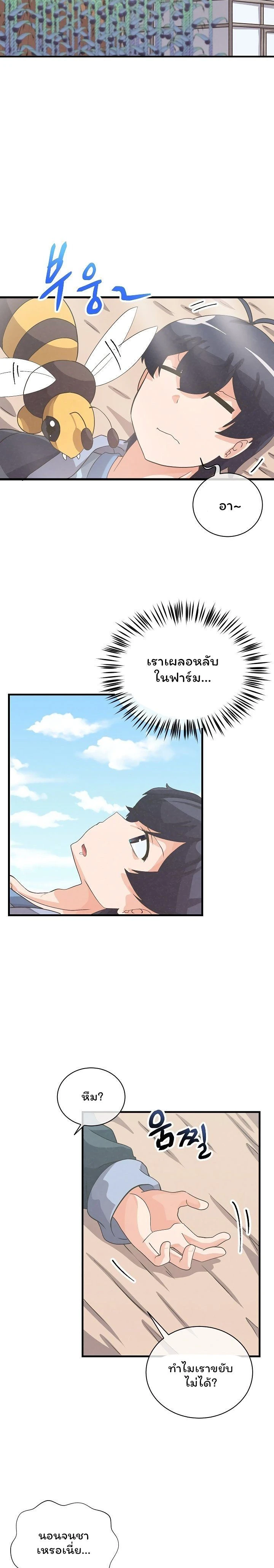 หน้าที่ 17