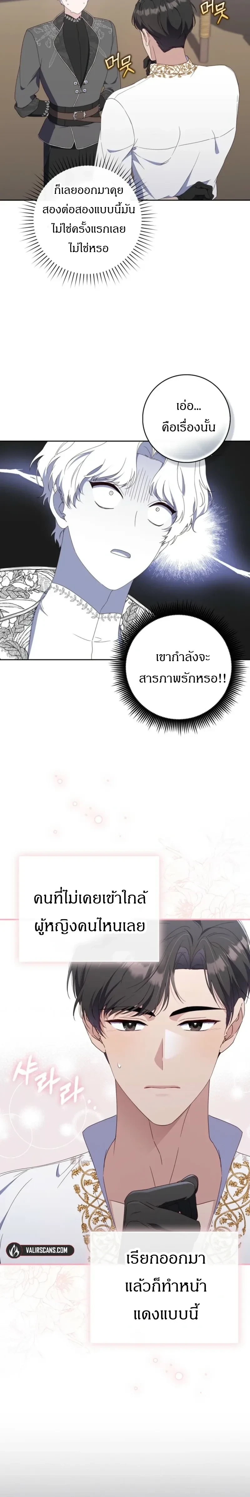 หน้าที่ 30