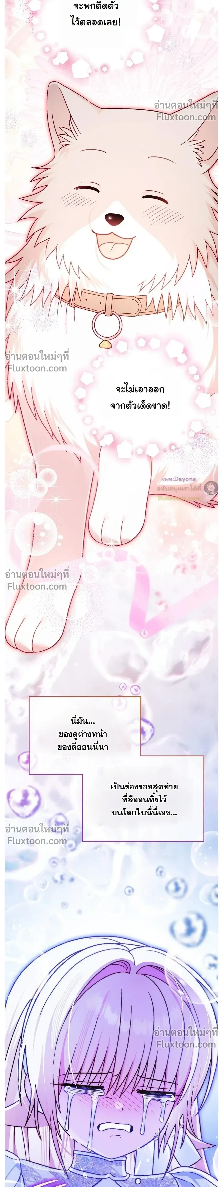 หน้าที่ 17