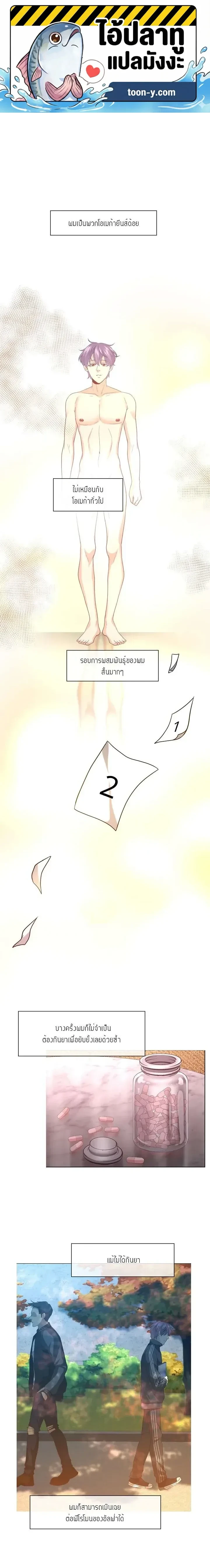 หน้าที่ 1