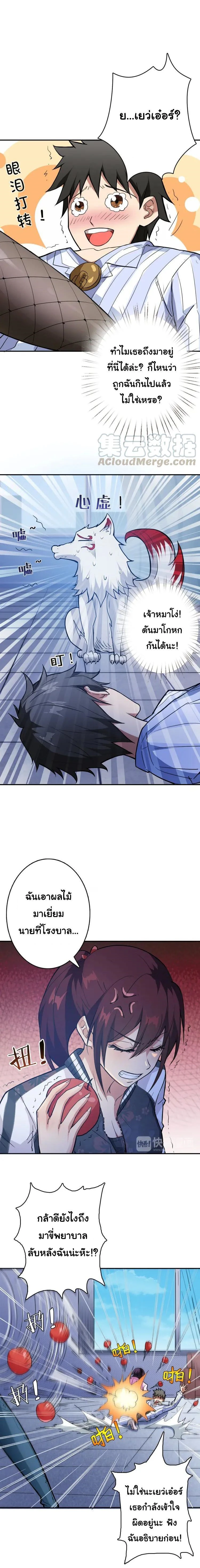 หน้าที่ 4