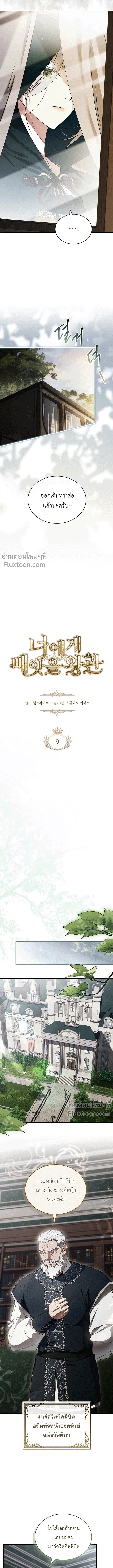 หน้าที่ 3