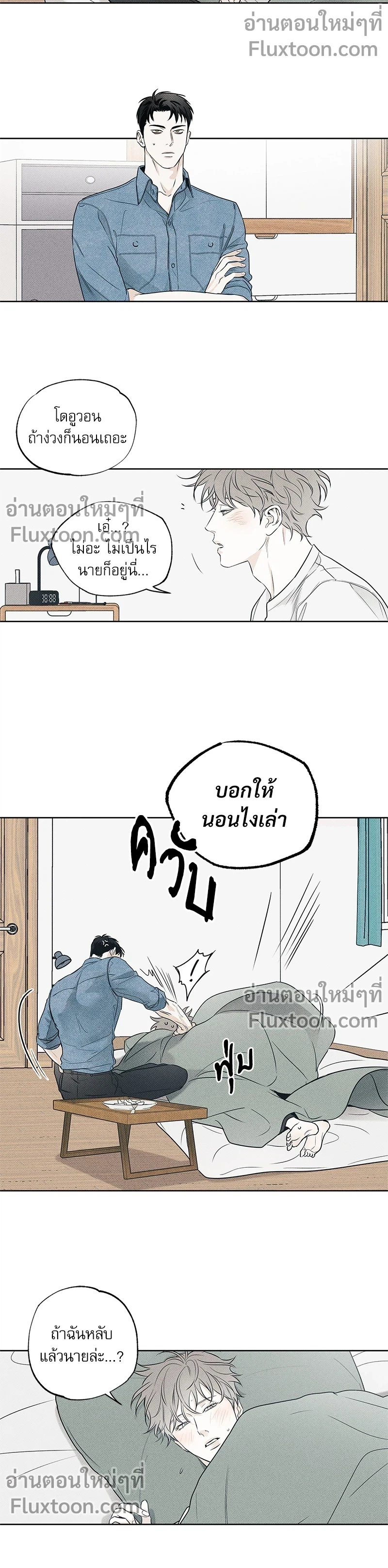 หน้าที่ 13