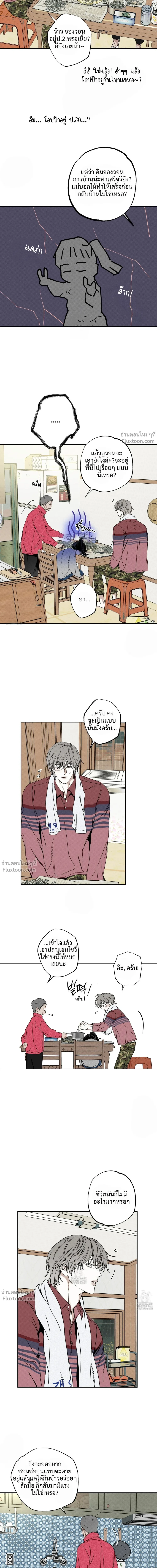 หน้าที่ 24