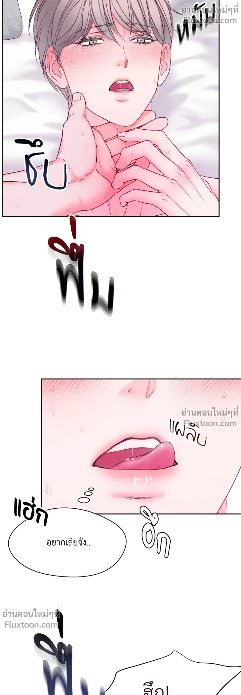 หน้าที่ 19