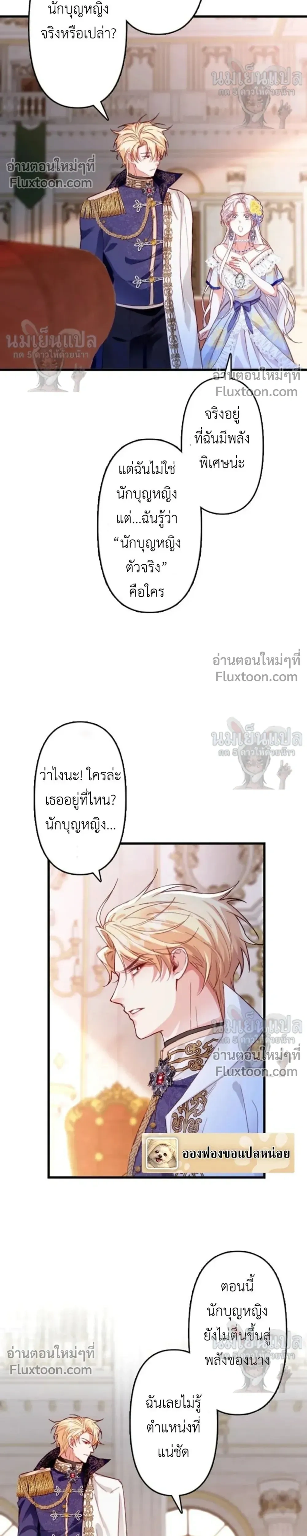 หน้าที่ 11