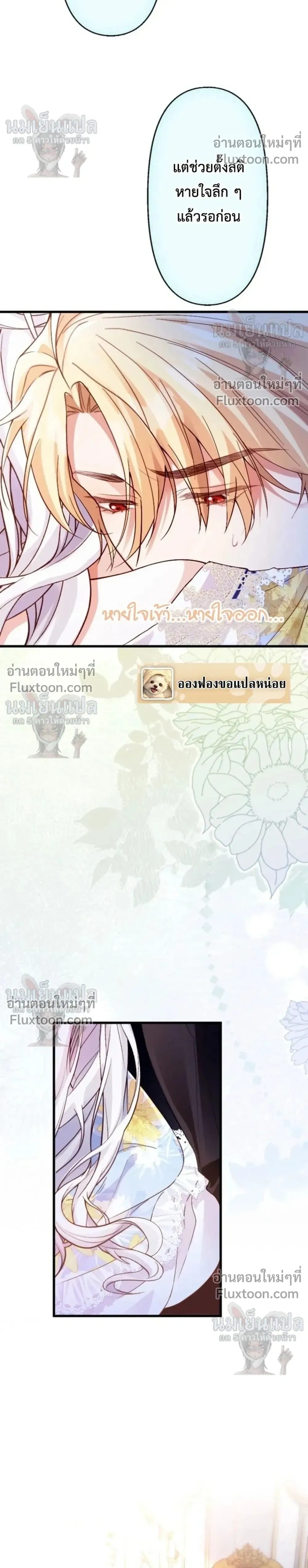หน้าที่ 24