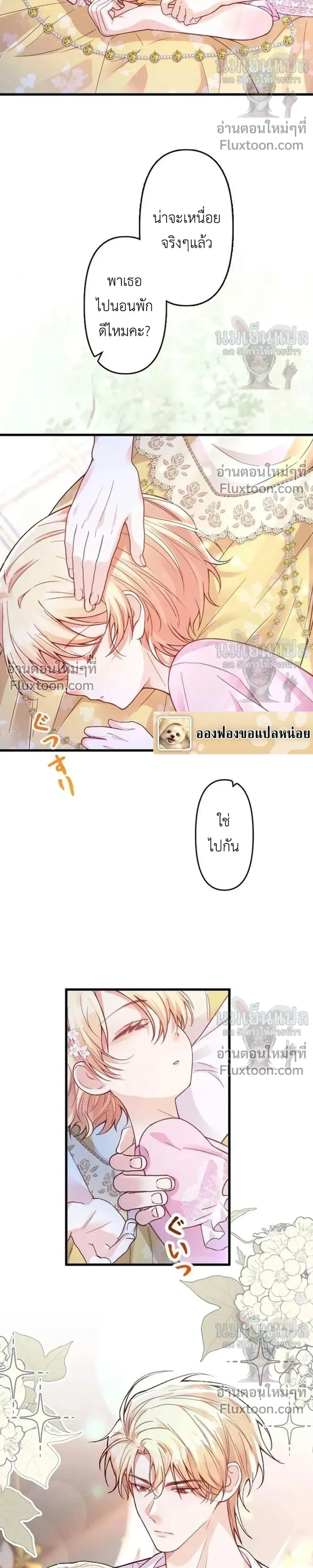 หน้าที่ 20