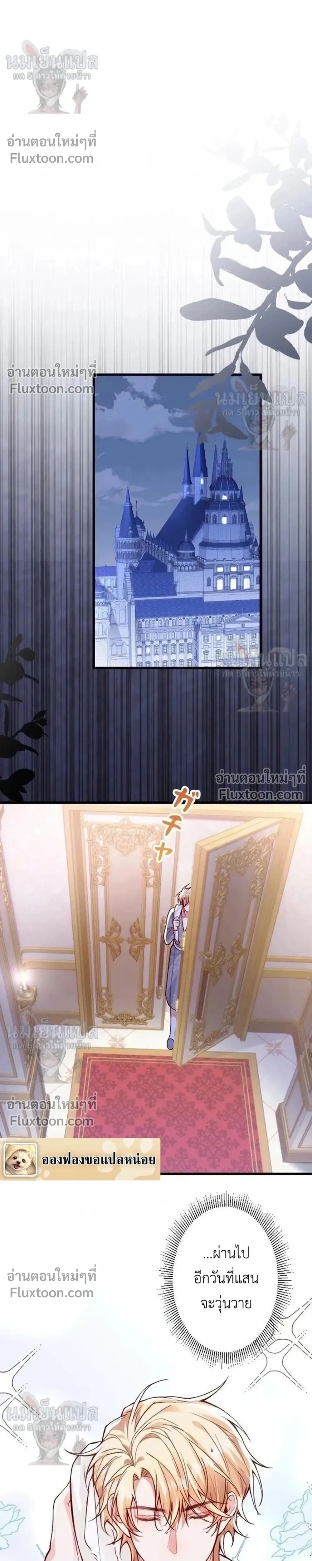 หน้าที่ 11