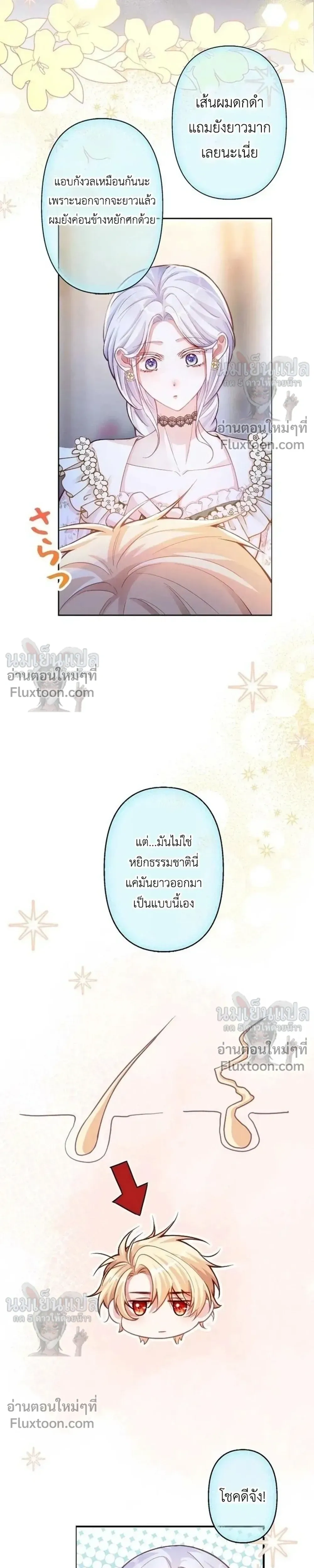 หน้าที่ 15