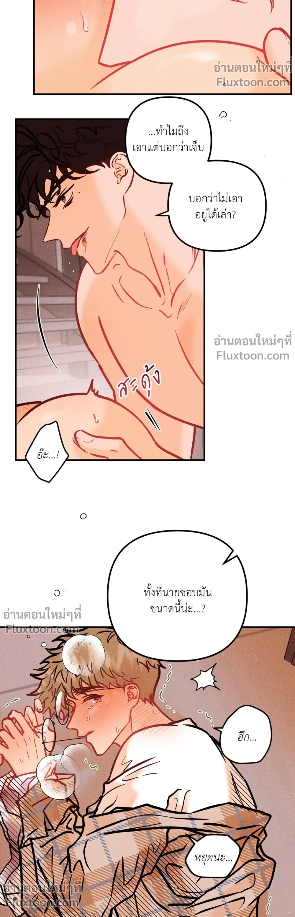 หน้าที่ 11