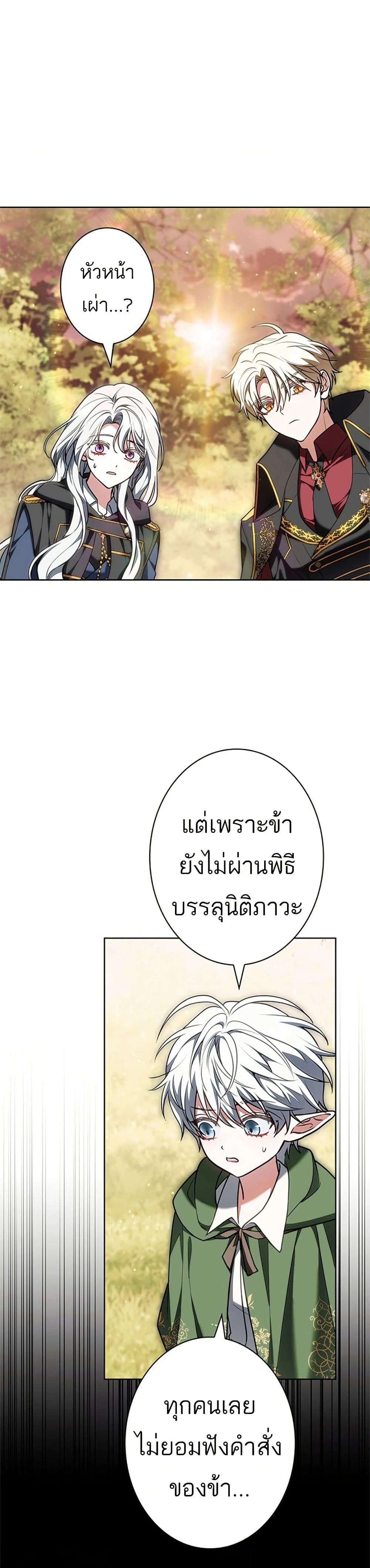 หน้าที่ 30