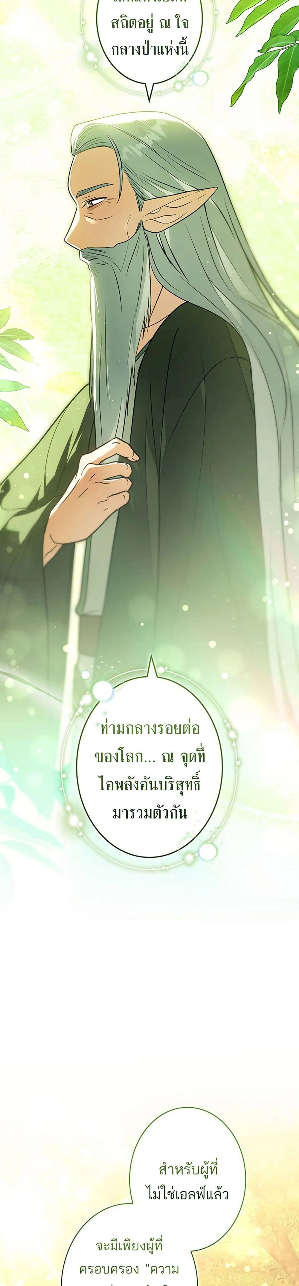 หน้าที่ 41