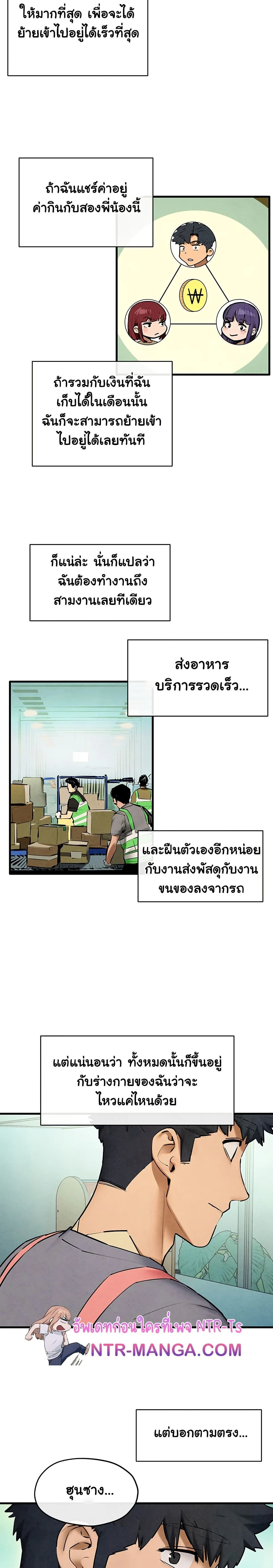 หน้าที่ 13