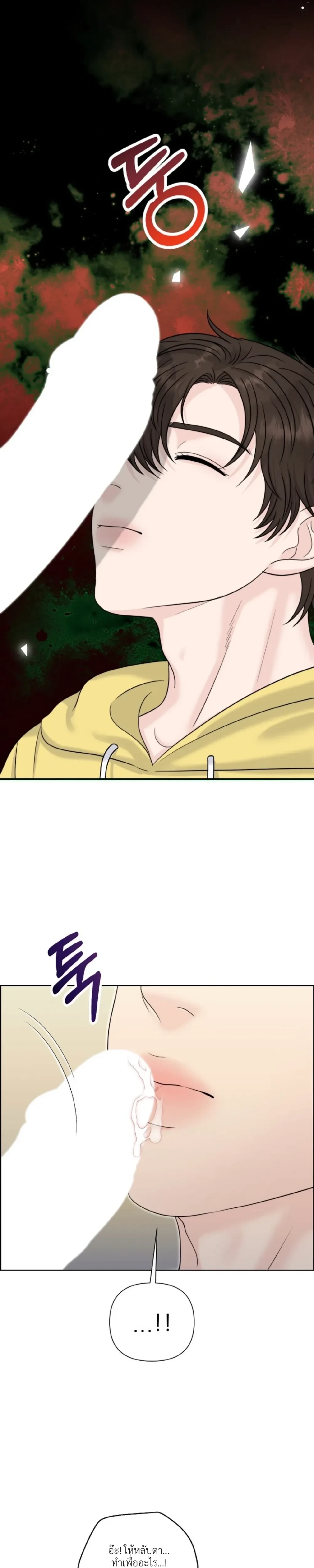 หน้าที่ 24