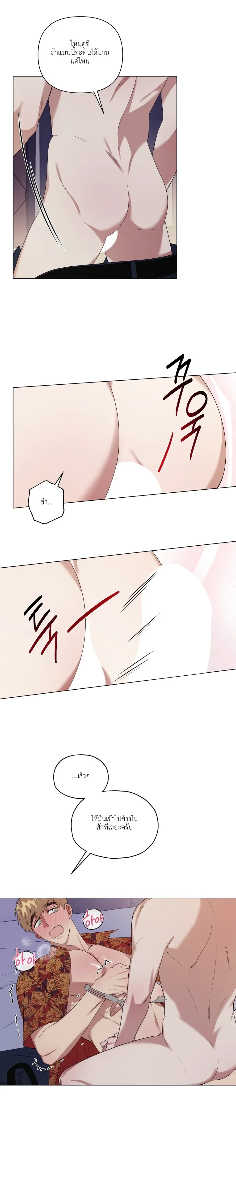 หน้าที่ 17