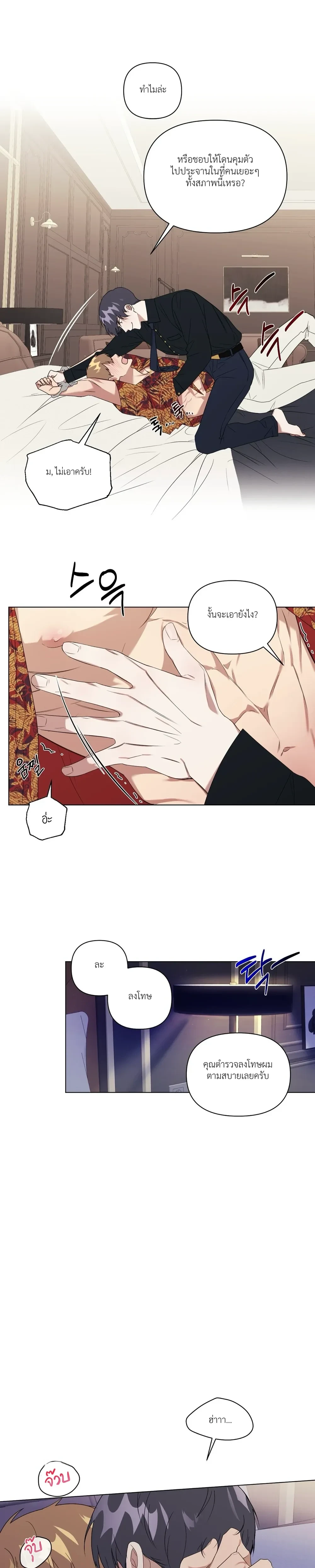 หน้าที่ 13