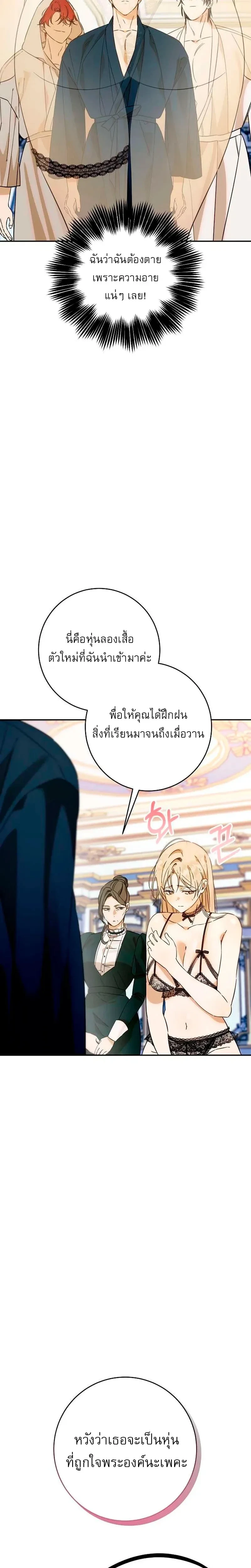 หน้าที่ 17