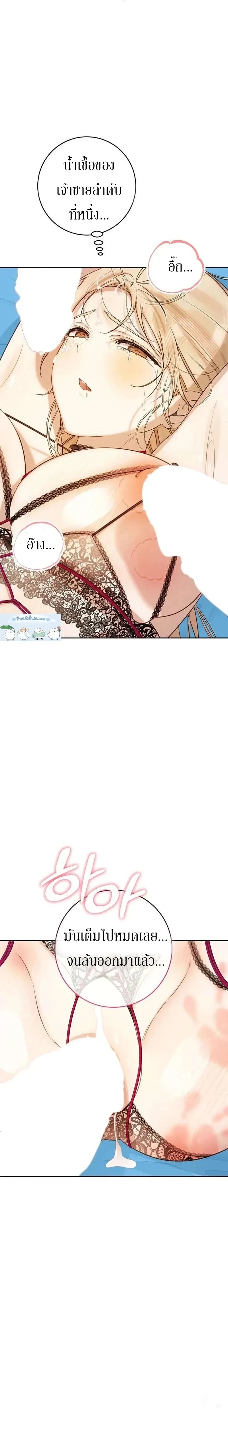 หน้าที่ 13