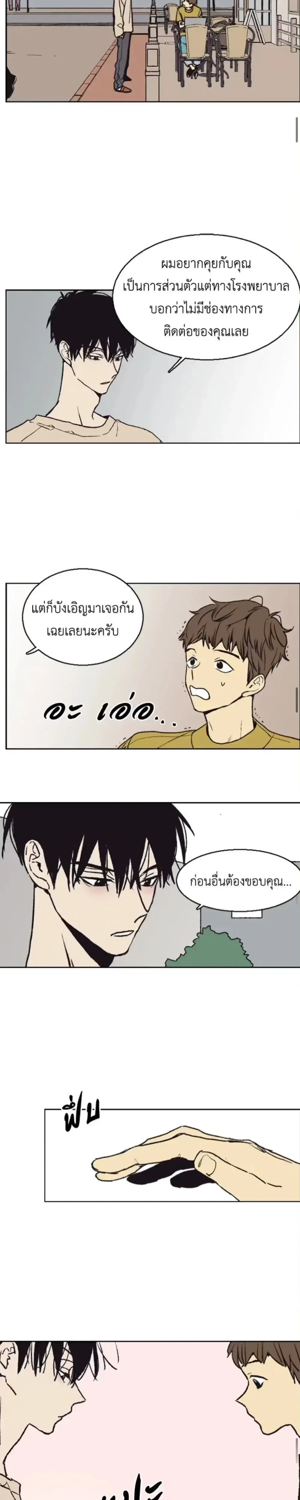 หน้าที่ 17