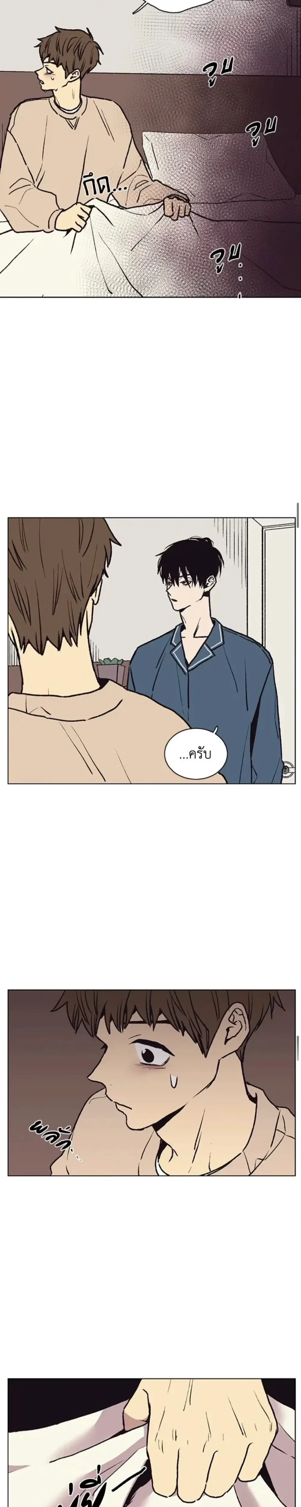 หน้าที่ 17