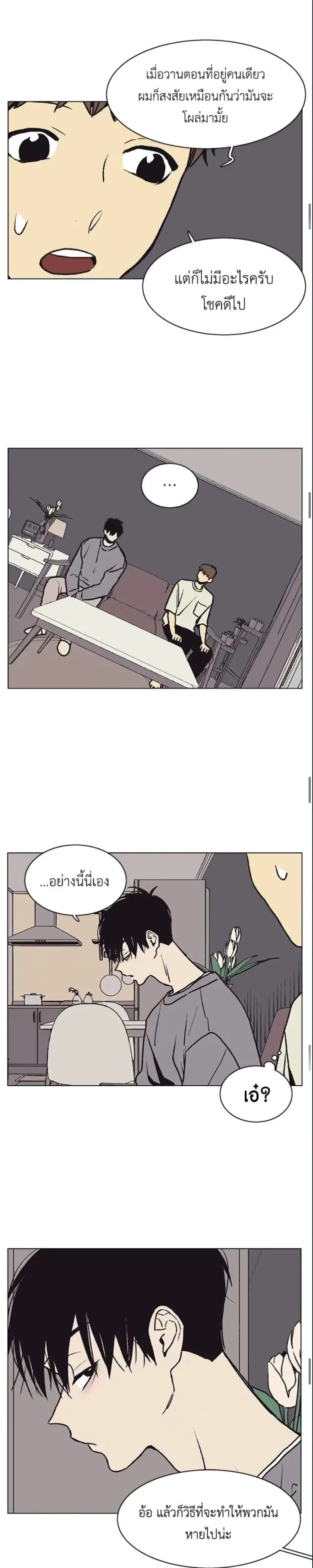 หน้าที่ 12