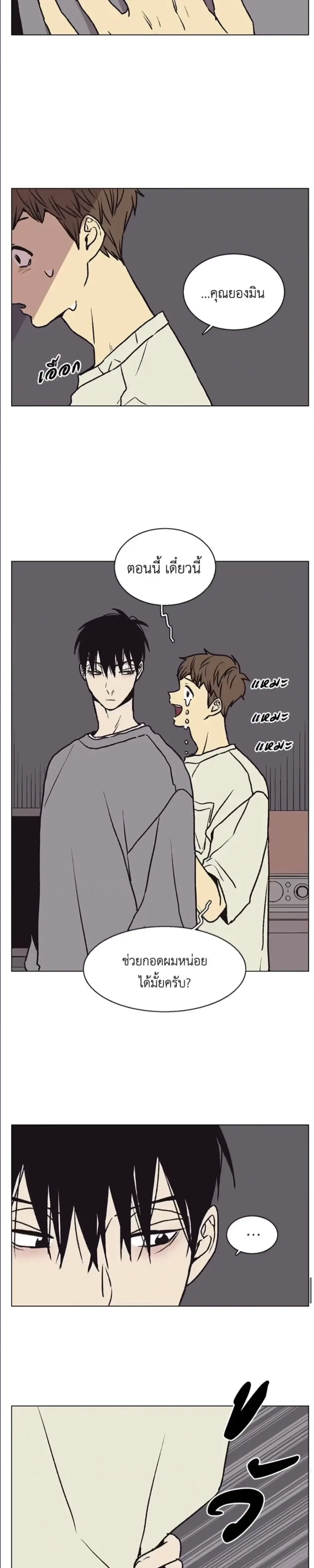 หน้าที่ 15