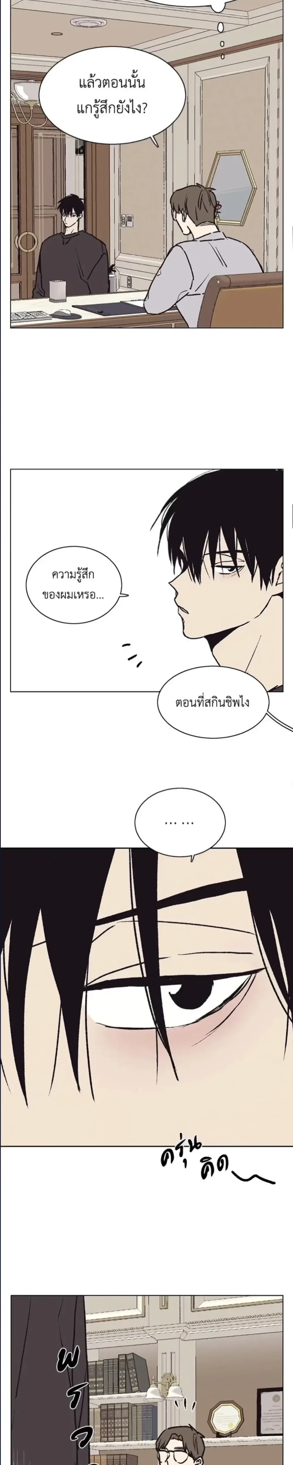 หน้าที่ 13