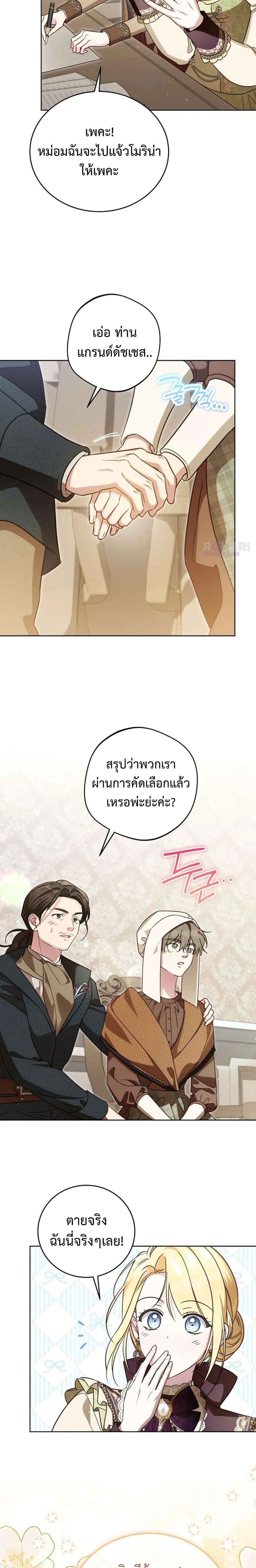 หน้าที่ 17