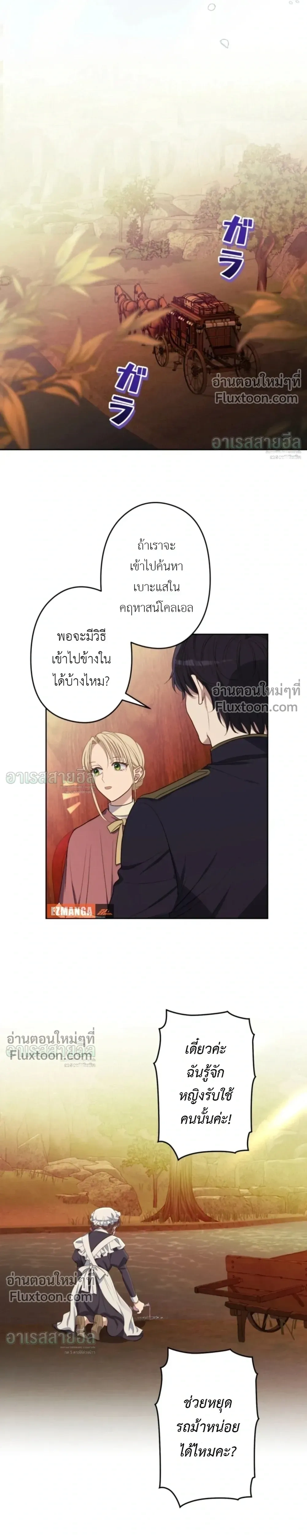 หน้าที่ 13