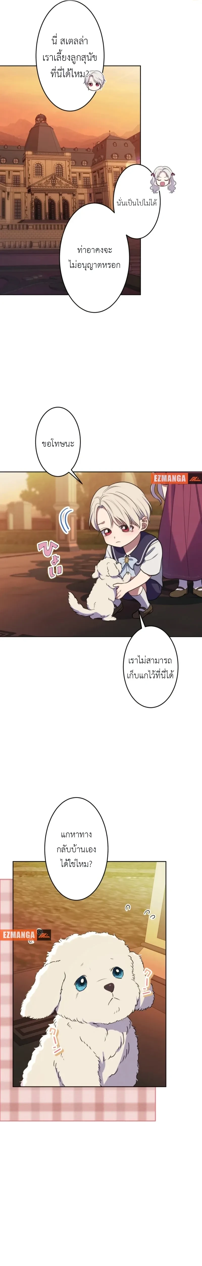 หน้าที่ 8