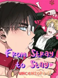 ปกมังงะ From Stray to Stay