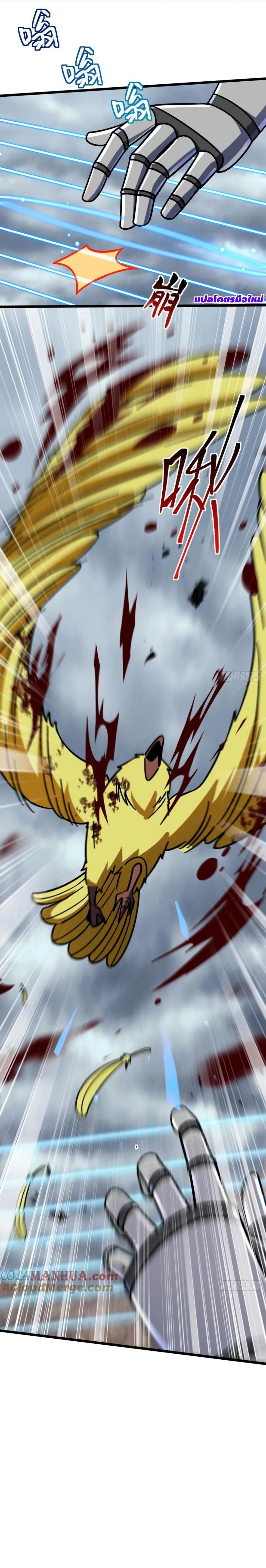 หน้าที่ 11