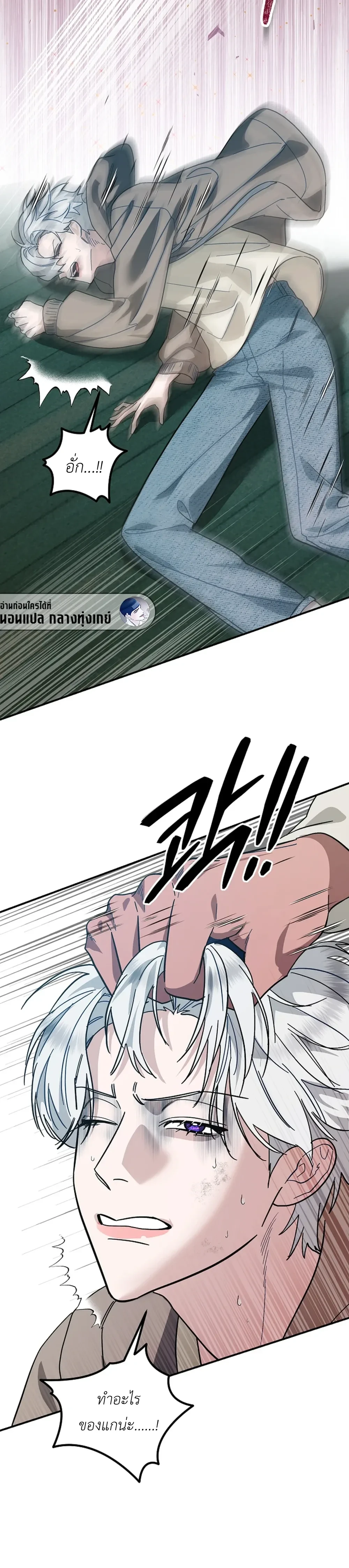 หน้าที่ 20