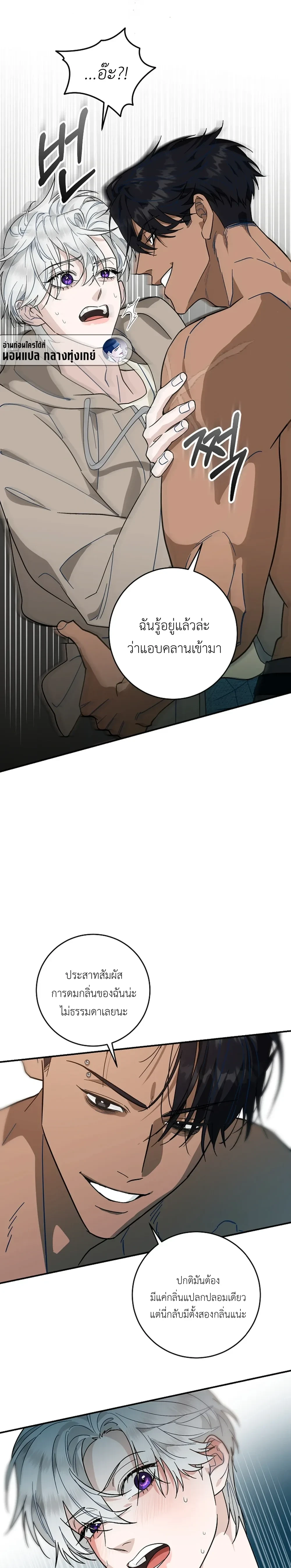 หน้าที่ 11